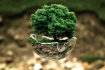 Greenification - avagy zöldítsd az Egyetemet!