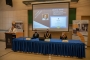 „EU-PED 2021” – hibrid