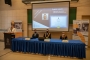„EU-PED 2021” – hibrid