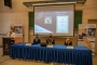 „EU-PED 2021” – hibrid